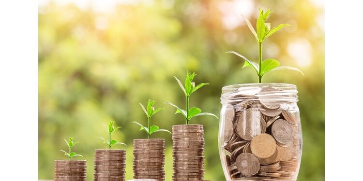 Usha Financial Services’s IPO sees strong demand, oversubscribes 1.31x on day one