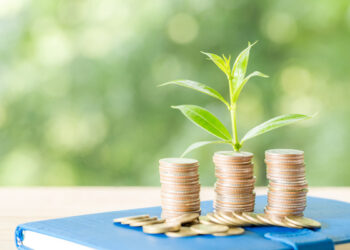 CreditAccess Grameen boosts microfinance with new social loan facility