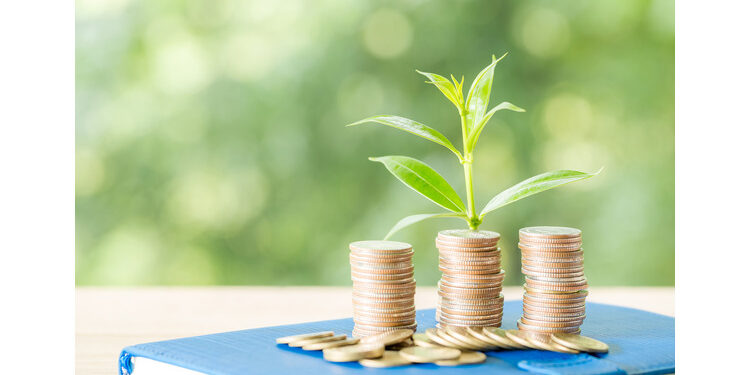 CreditAccess Grameen boosts microfinance with new social loan facility