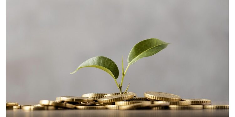 Green Loans Under the Lens: Separating Substance from Spin