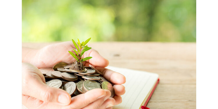 Kiwi raises Rs 209 Cr in series B to drive UPI-Linked credit card adoption